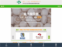 Tablet Screenshot of chaodash.com